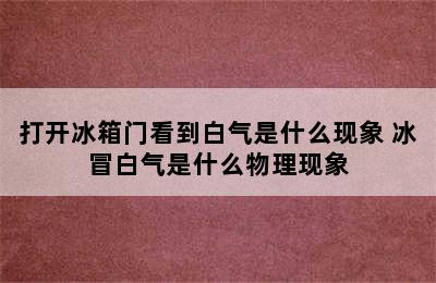 打开冰箱门看到白气是什么现象 冰冒白气是什么物理现象